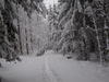 schnee maerz 2007